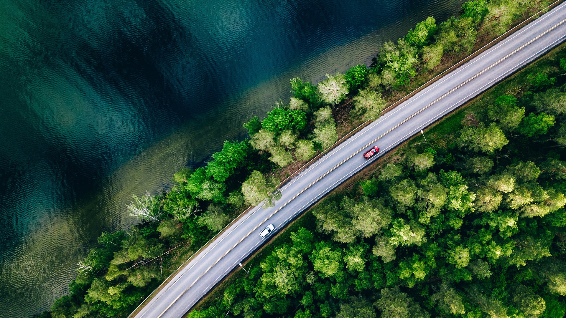 Aerial view of a road winding through green forest beside dark water